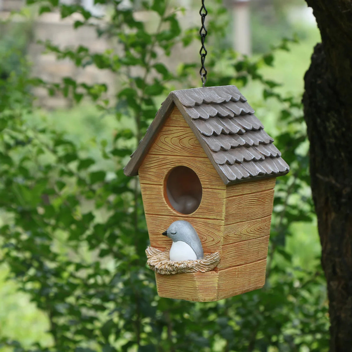 Vogelhuisje op paal – Perfect zicht op bezoekers