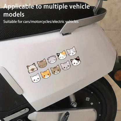 Auto stickers - Schattige katgezichten voor een unieke uitstraling