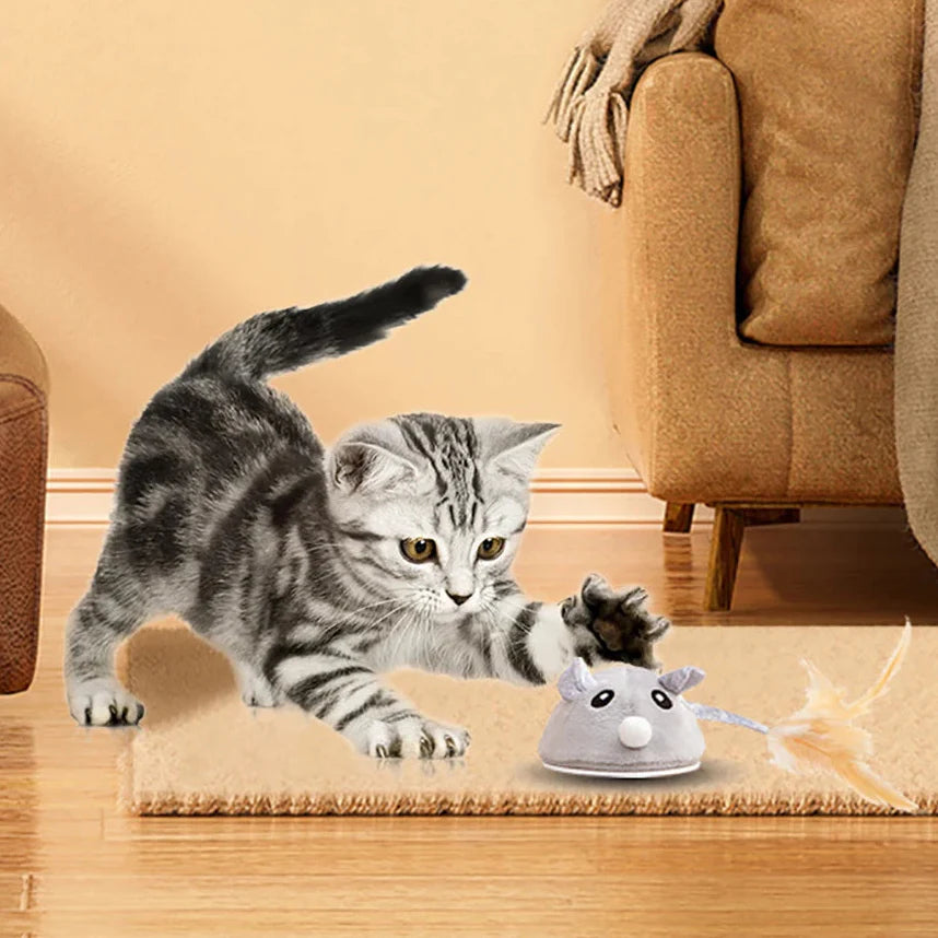 Kattenspeeltjes Action met kleurrijke prints – Stimulerend en leuk