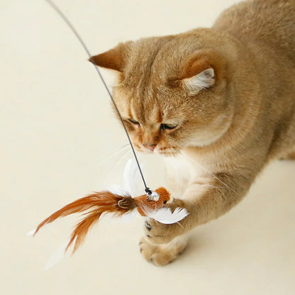 Kattenspeelgoed met sensor – Reageert op aanraking