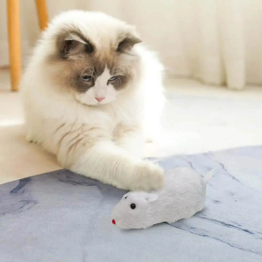 Leukste kattenspeeltje van het jaar – Getest en goedgekeurd