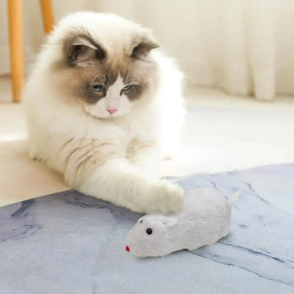 Leukste kattenspeeltje van het jaar – Getest en goedgekeurd