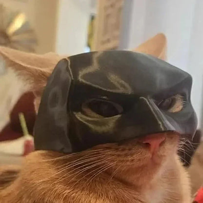 Katten speeltjes set – Alles in één pakket