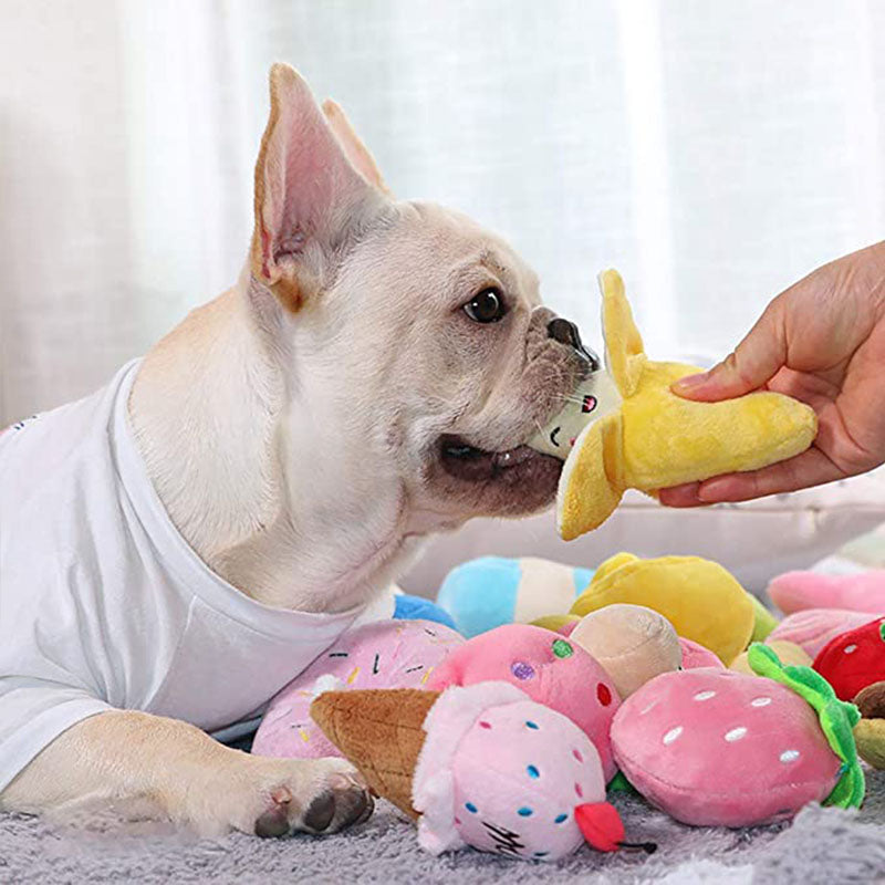 Cadeau hond verjaardag persoonlijk – Uniek en doordacht