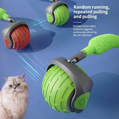 Speelbal voor katten – Rollend plezier