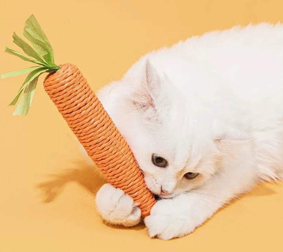 Kattenspeeltje met kattenkruid – Voor intens speelgedrag