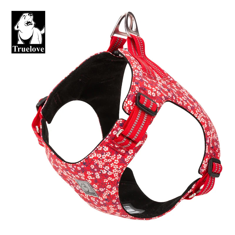 Tuigje hond met minimalistisch design – Licht en effectief