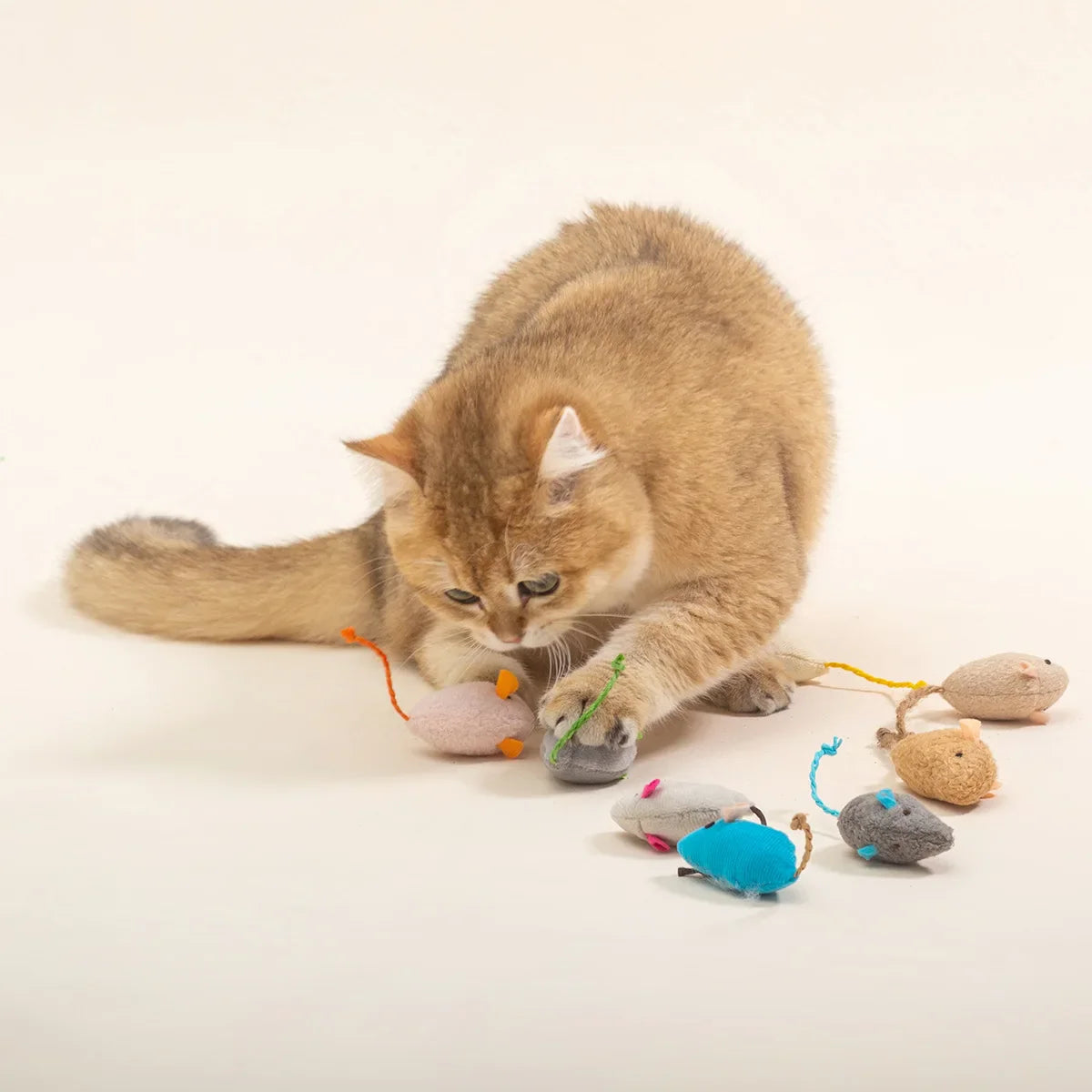 Action kattenspeeltjes voor actieve katten – Houdt ze bezig