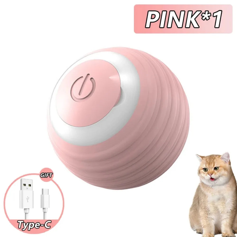 Kattenspeeltjes Action schattig en goedkoop – Perfect voor kittens