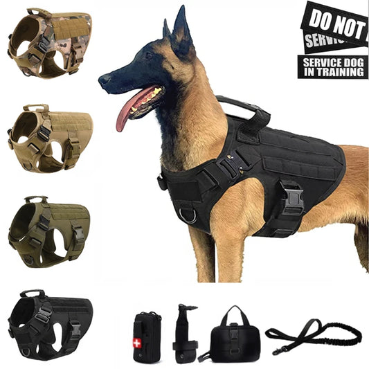 Tuigje honden met klikbevestiging – Stevig en betrouwbaar