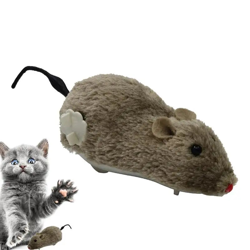 Leuk kattenspeeltje voor jachttraining – Slim en actief
