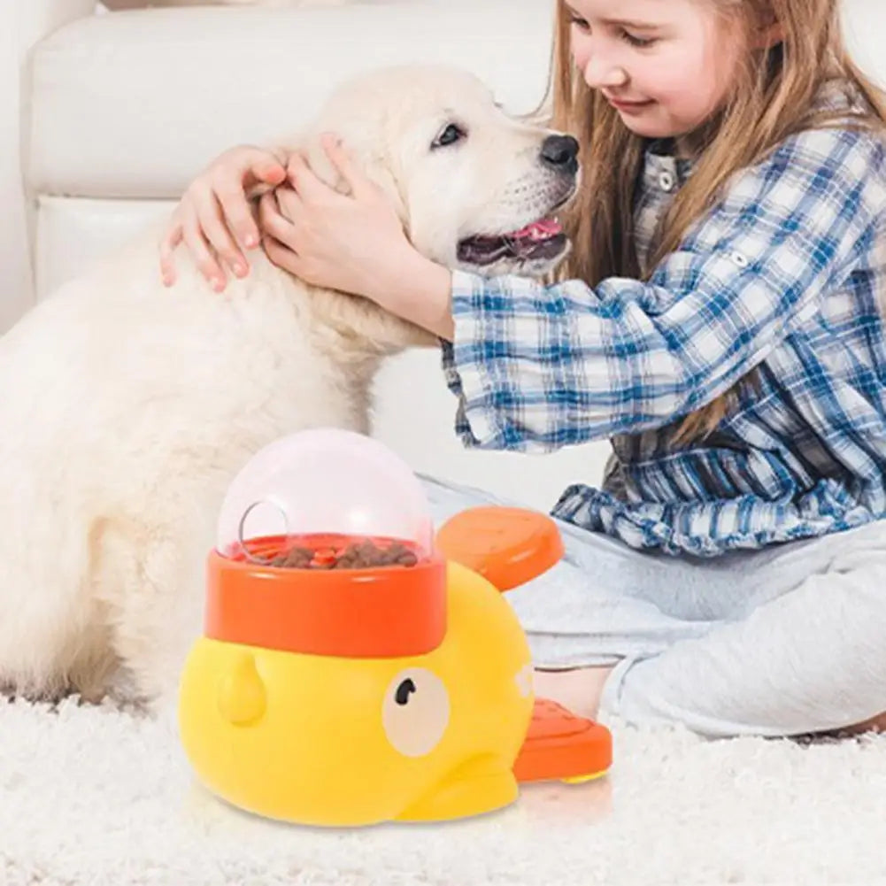 DIY cadeau voor hond – Zelfgemaakt en liefdevol