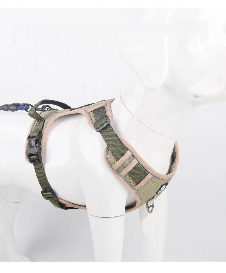 Tuigje voor sportieve honden – Flexibel en licht
