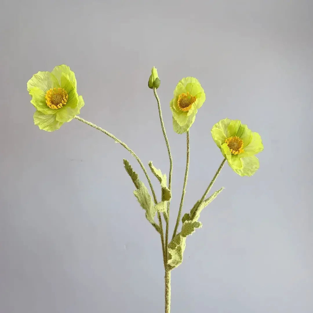 Decoratieve klimrekken als tuinaccent