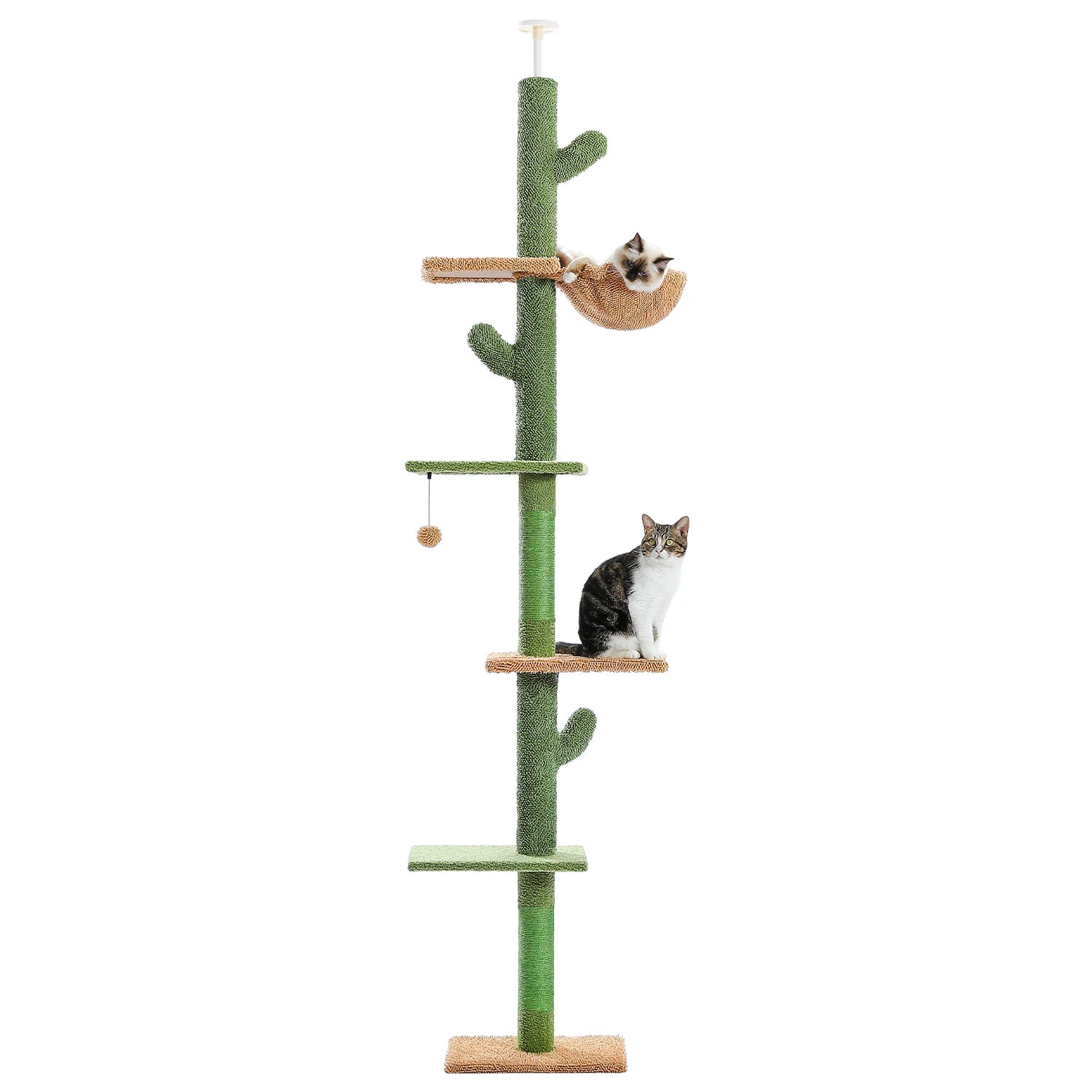 Krabpaal Maine Coon – Sterk en stabiel ontwerp