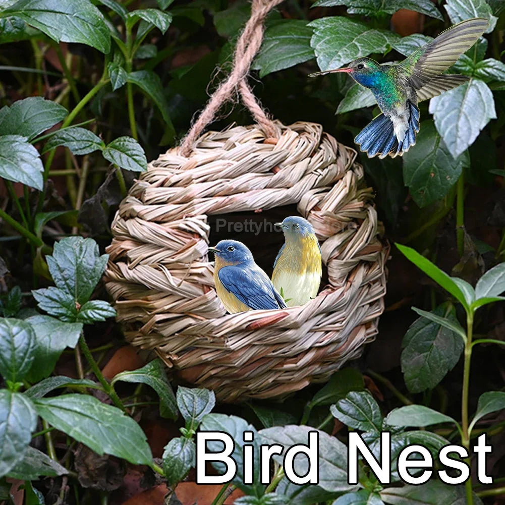 Intratuin vogelhuisje met bodemplaat – Extra bescherming