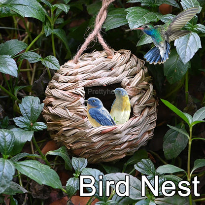 Intratuin vogelhuisje met bodemplaat – Extra bescherming