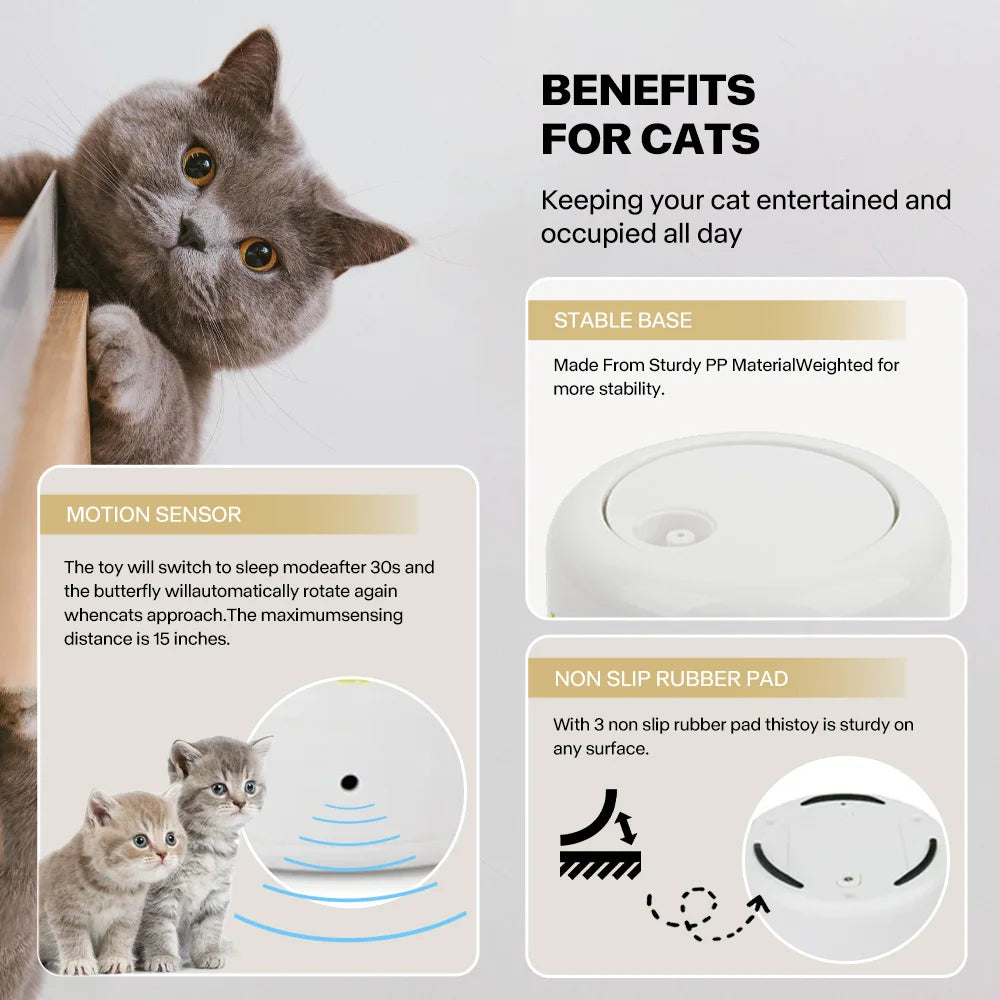 Kattenspeelgoed met geurstof – Stimuleert zintuigen