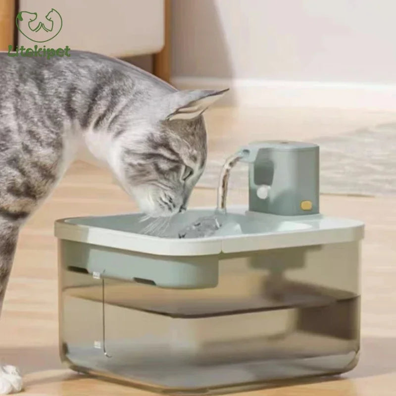 Katten drinkfontein met licht – Zichtbaar in het donker