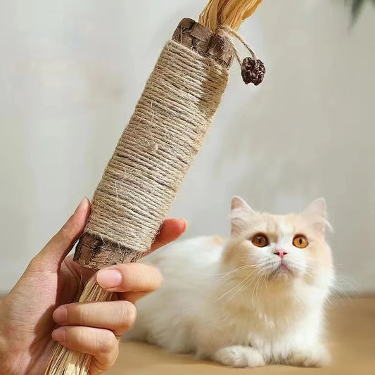 Kattenspeeltjes Action schattig en goedkoop – Perfect voor kittens