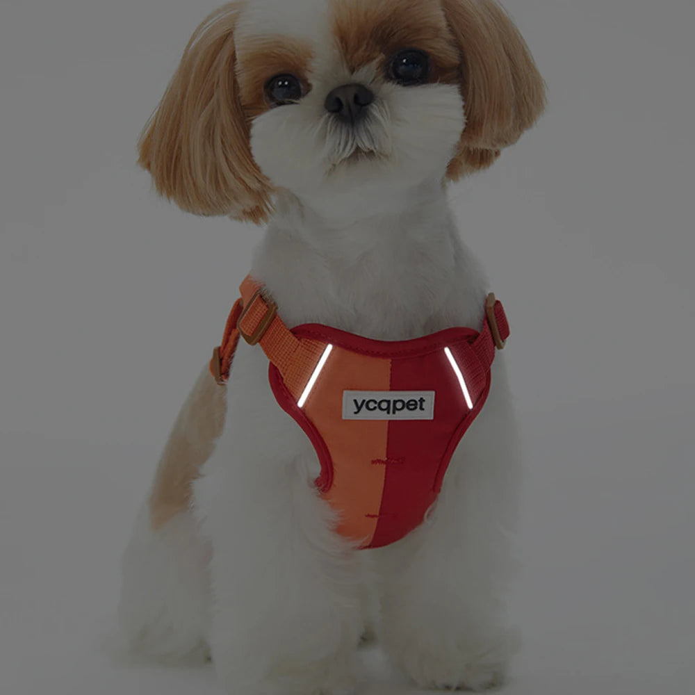 Honden tuigje met vooraanlijnoptie – Anti-trek functionaliteit