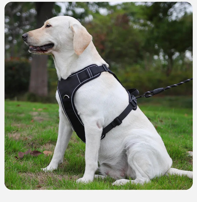 Zacht tuigje hond met brede banden – Comfort zonder knellen
