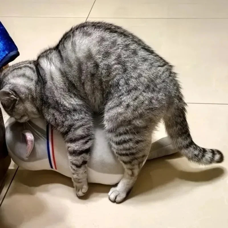 Kattenspeelgoed met geurstof – Stimuleert zintuigen