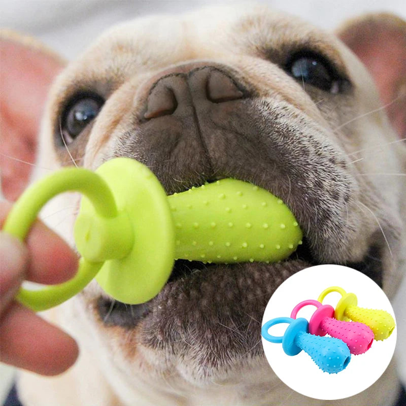 Cadeau hond met verjaardagshoed – Klaar voor het feestje