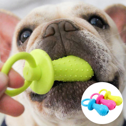 Cadeau hond met verjaardagshoed – Klaar voor het feestje