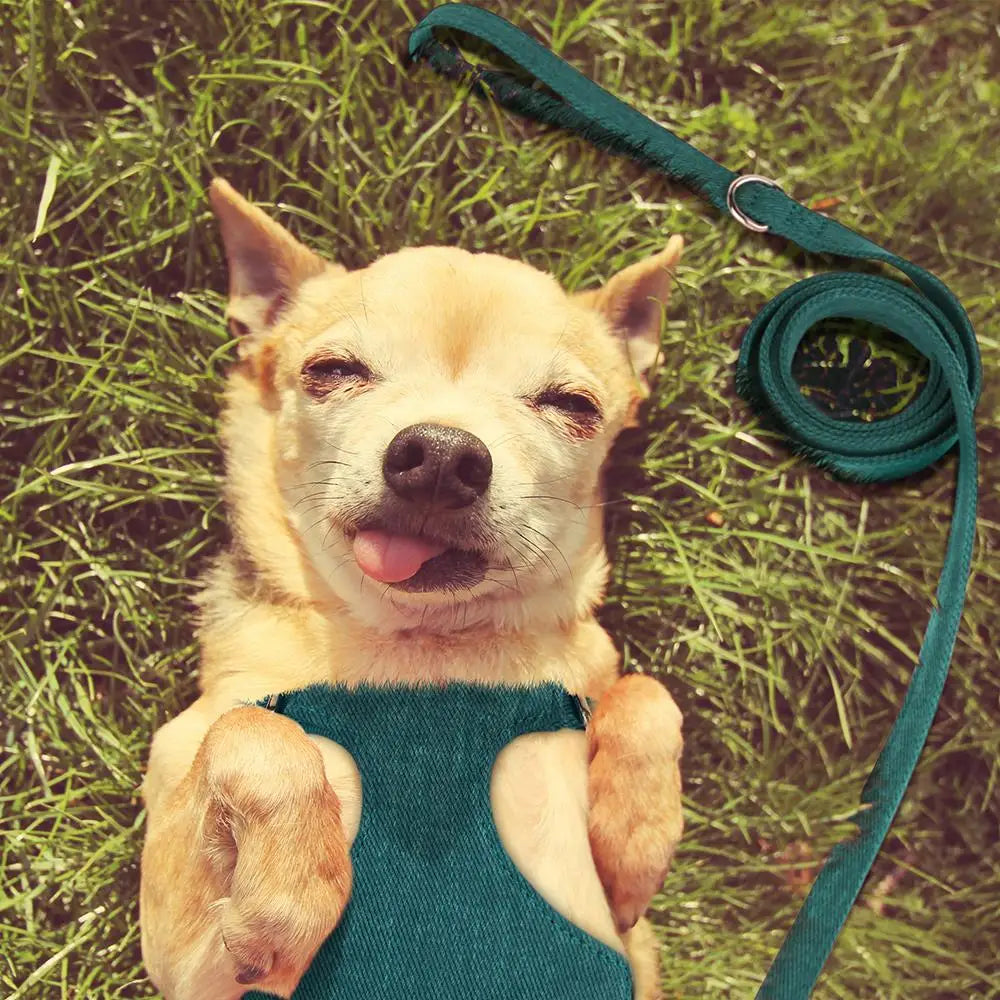 Honden tuigje met vooraanlijnoptie – Anti-trek functionaliteit