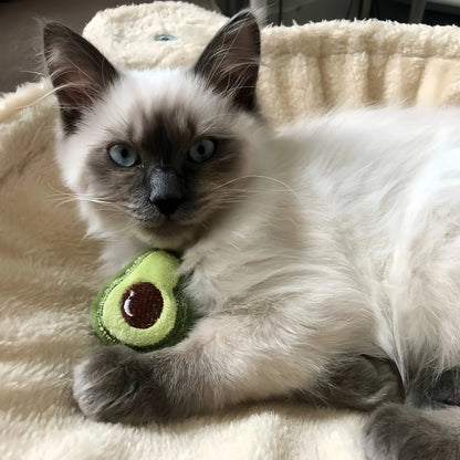 Kattenspeelgoed met kraboppervlak – Dubbel functioneel