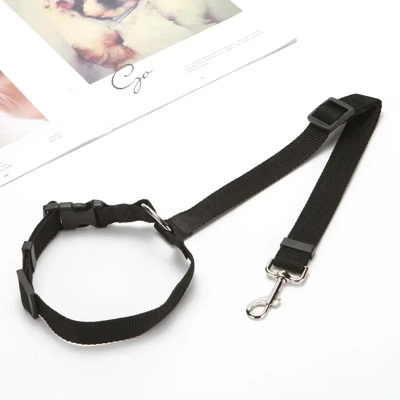 Tuigje met zachte padding – Voor gevoelige honden