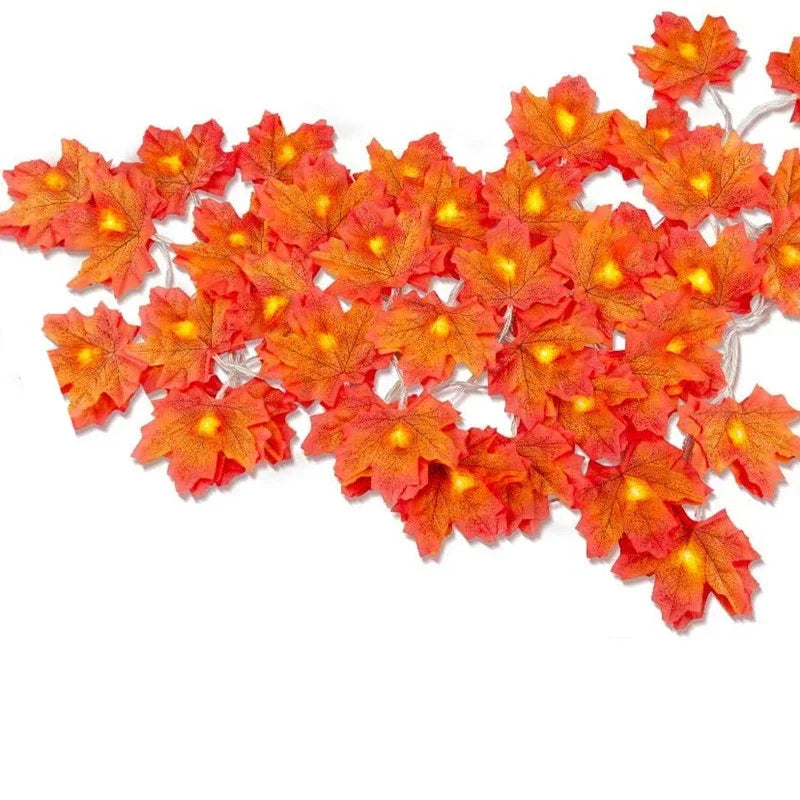 Lichtslinger met stervormige lampjes – Magisch effect