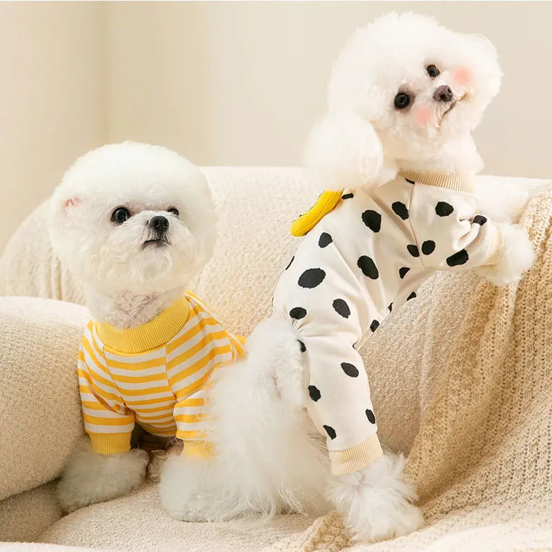 Cadeau voor honden en baasjes – Een dubbel plezier