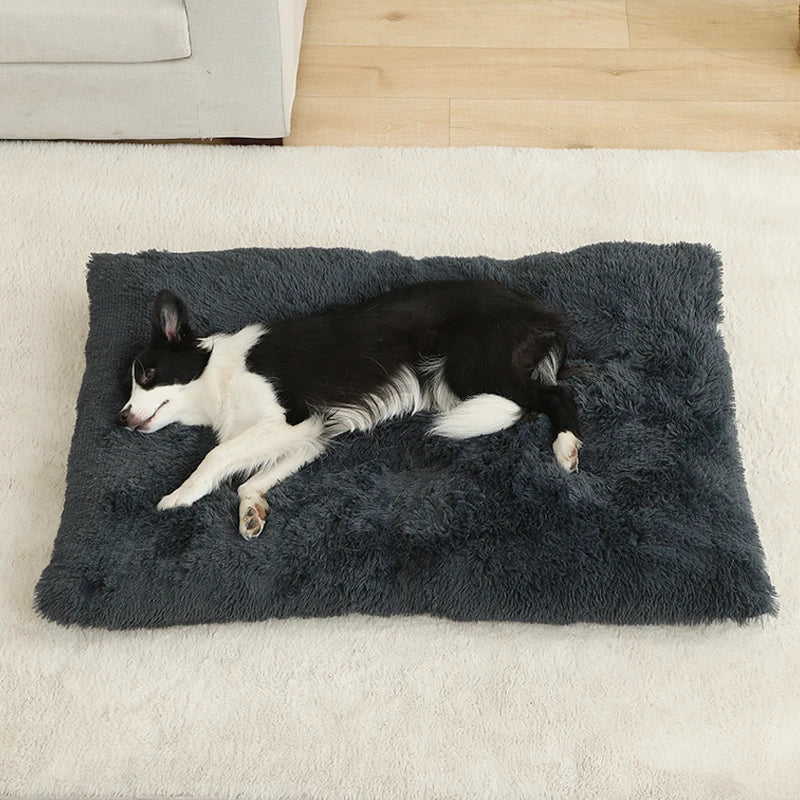 Cadeaubox hond – Ideaal voor elke gelegenheid