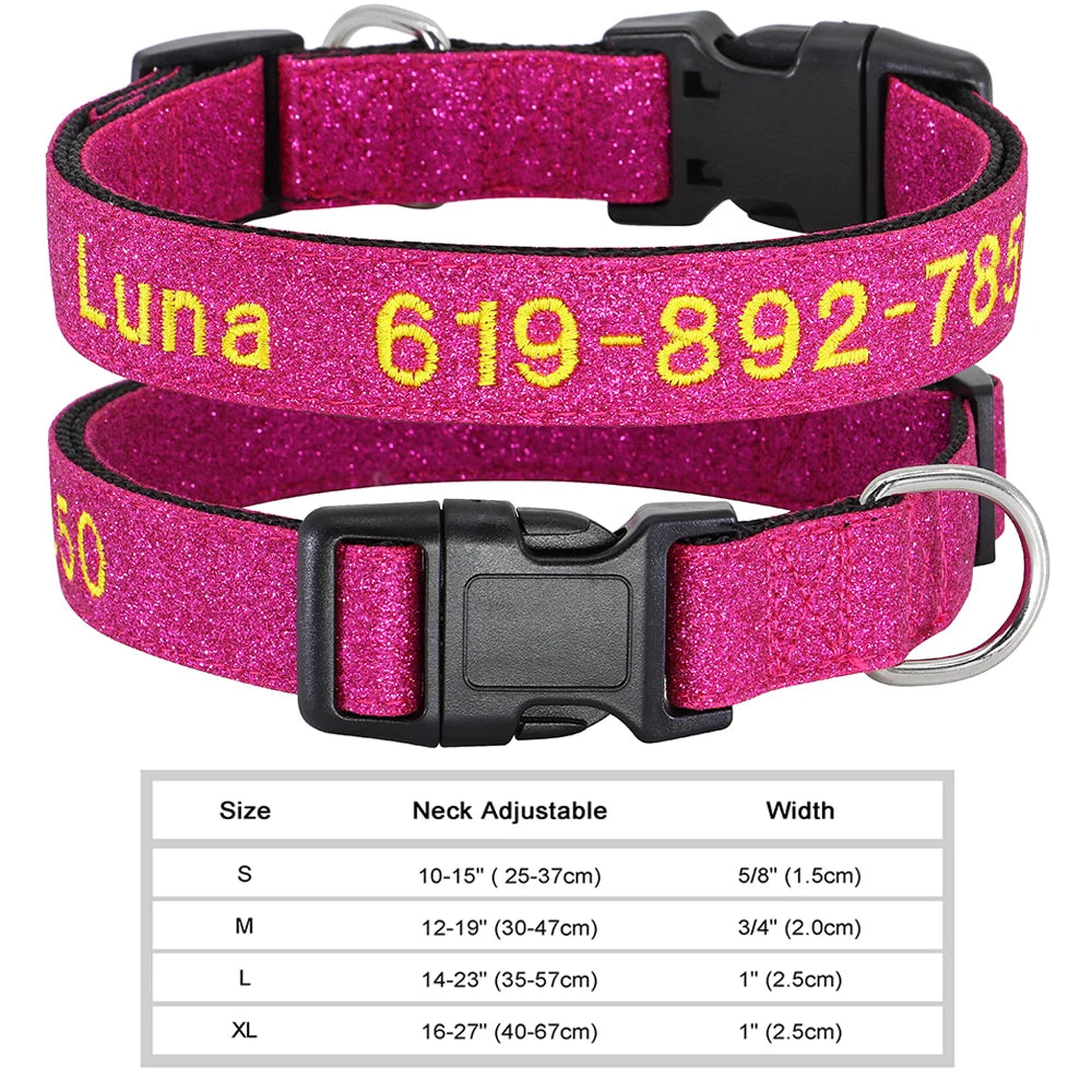 Cadeau voor hond en baas – Samen genieten