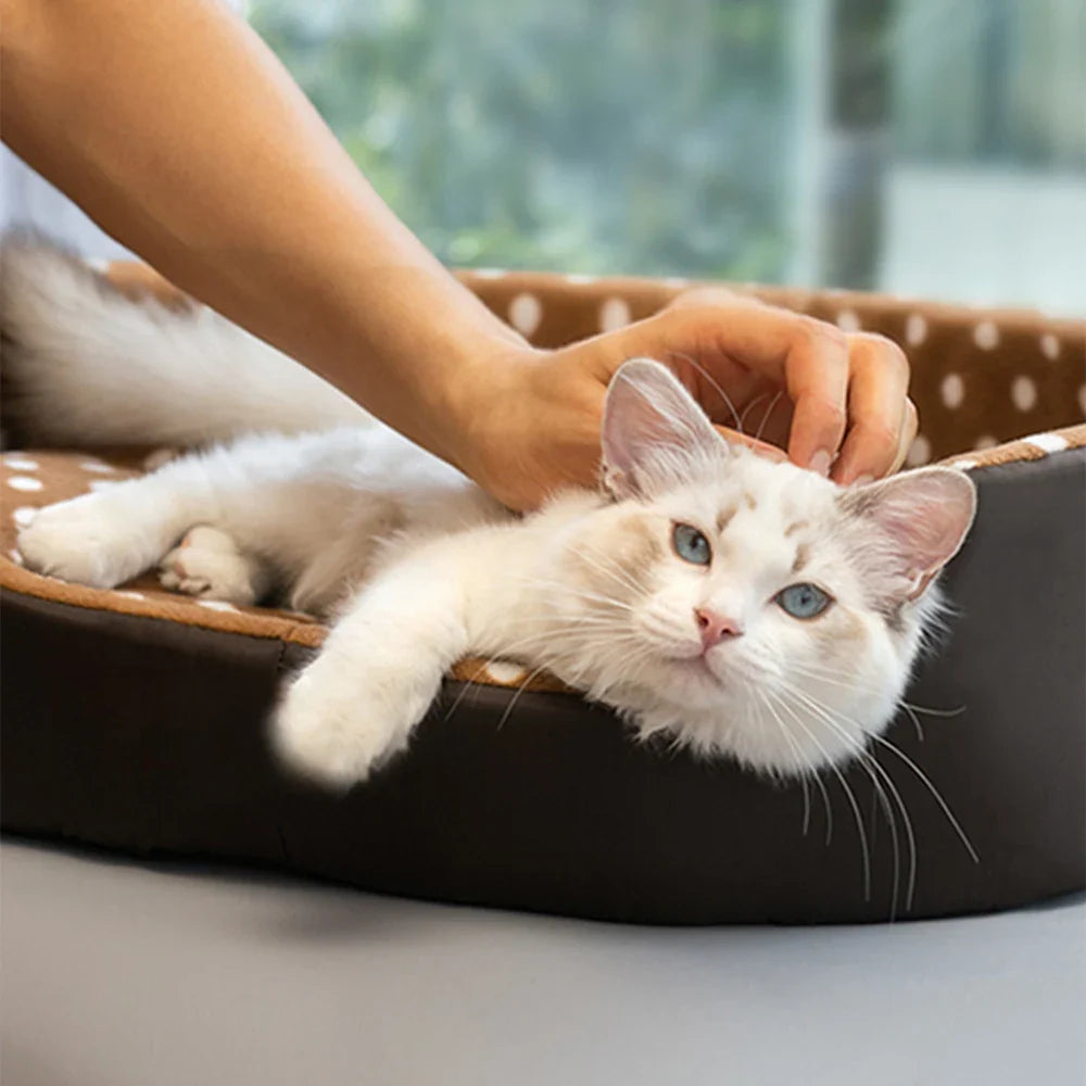 Action kattenmand met stevige rand – Goed ondersteunend