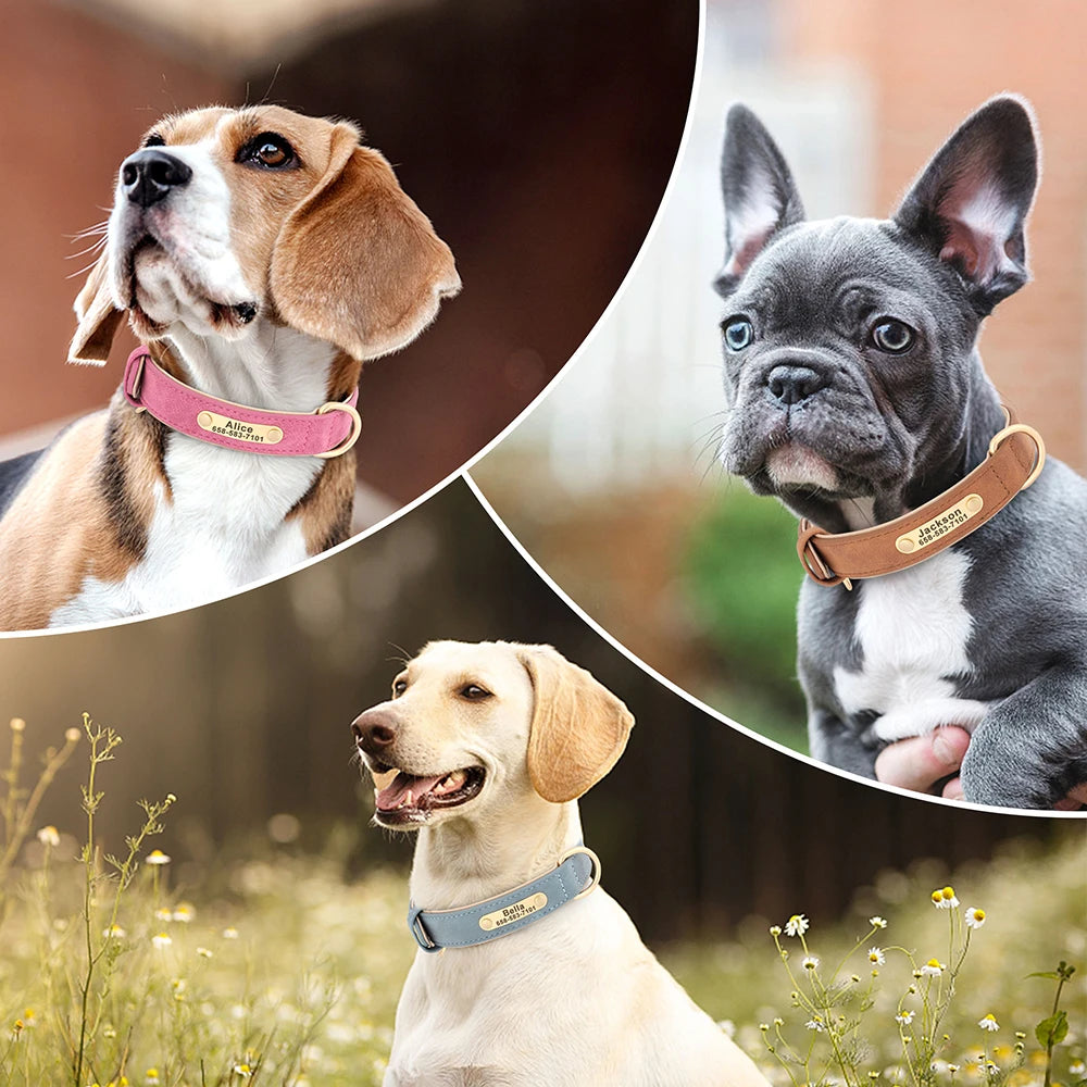 Honden tuigje met unieke print – Valt op tijdens wandelingen