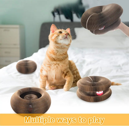 Kattenmeubel in Scandinavisch design – Stijlvol en praktisch