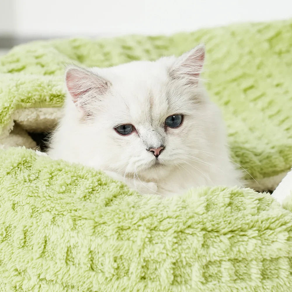 Kattenmand met open structuur – Voor frisse lucht