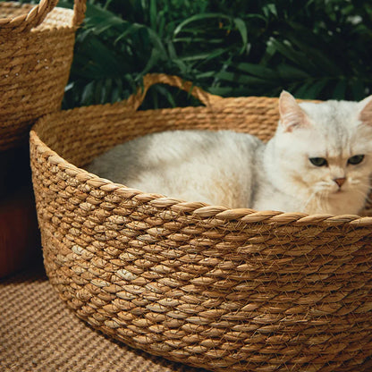 Moderne kattenmand – Past in elk interieur