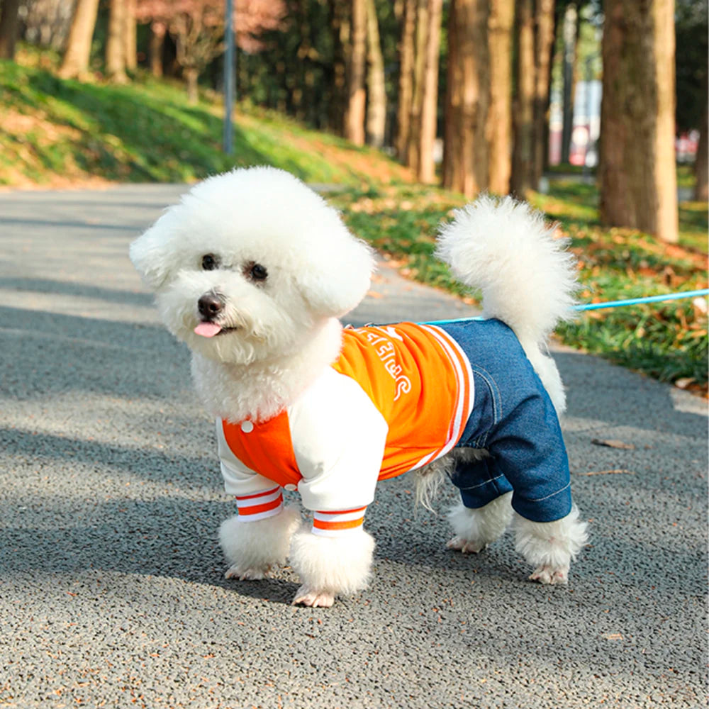 Verjaardag hond cadeau met naam – Persoonlijk en speciaal
