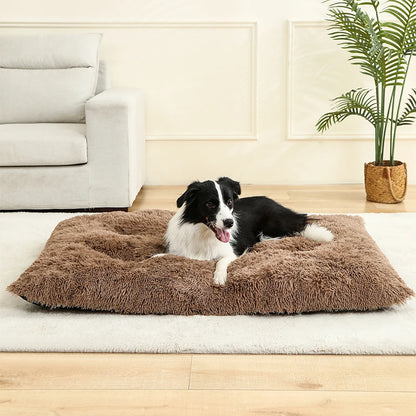 Cadeautje voor hond – Klein gebaar, grote vreugde