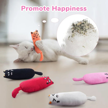 Kattenspeeltjes Action met kleurrijke prints – Stimulerend en leuk