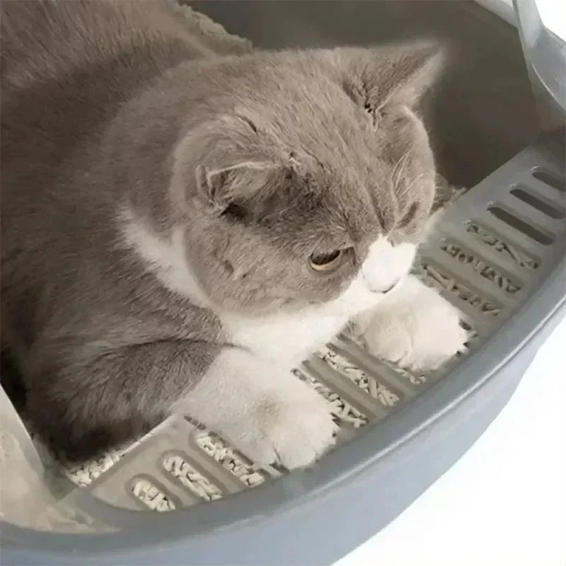 Kattenbak groot en stevig – Voor grote en actieve katten