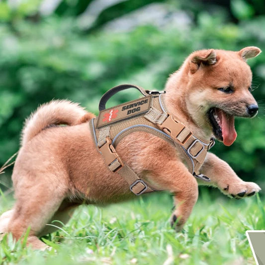 Honden tuigje met vier bevestigingspunten – Super stabiel