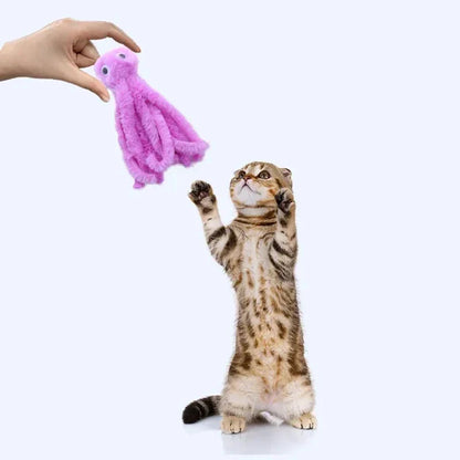 Kattenspeeltje met veerstaart – Onweerstaanbaar