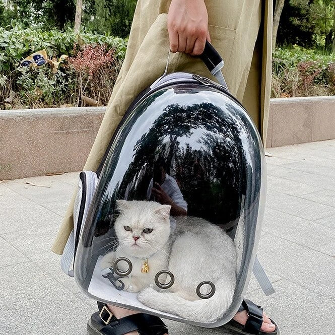 draagtas-voor-katten