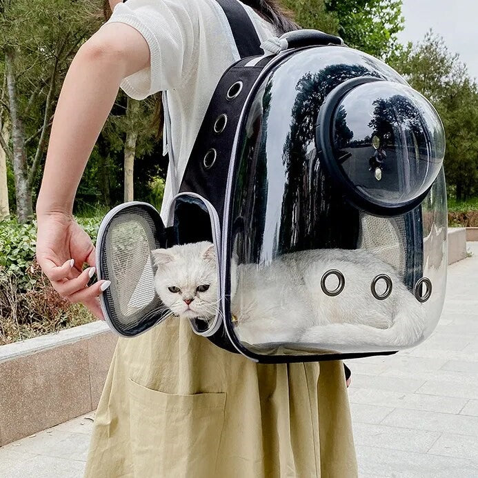 draagtas-voor-katten