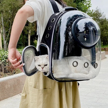 draagtas-voor-katten